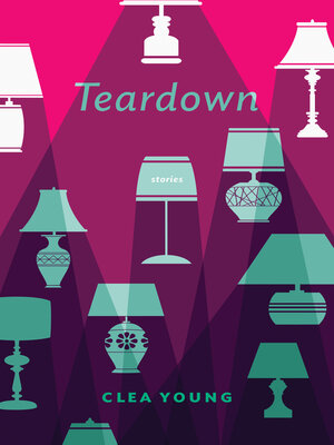cover image of Teardown